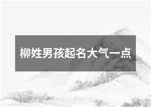 柳姓男孩起名大气一点