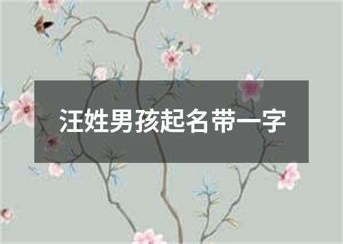 汪姓男孩起名带一字