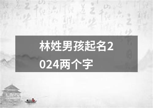 林姓男孩起名2024两个字