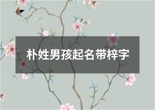 朴姓男孩起名带梓字