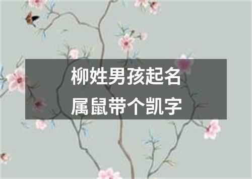 柳姓男孩起名属鼠带个凯字