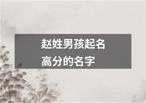 赵姓男孩起名高分的名字