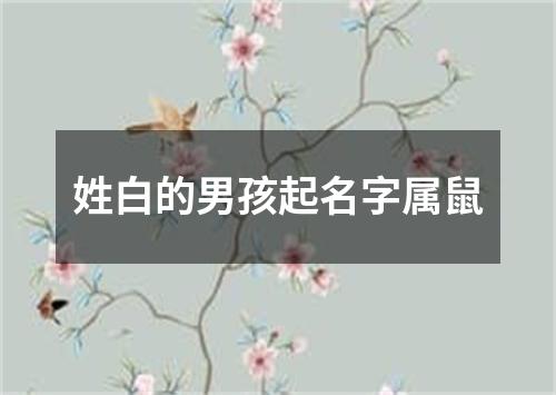 姓白的男孩起名字属鼠