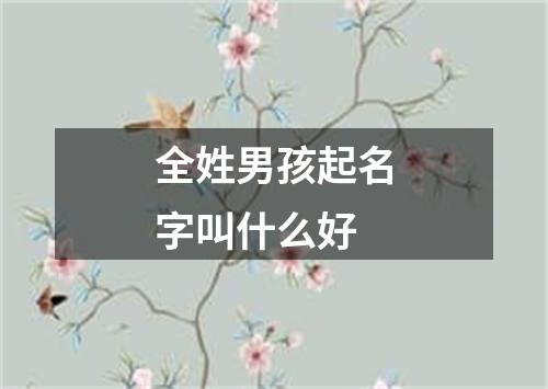 全姓男孩起名字叫什么好