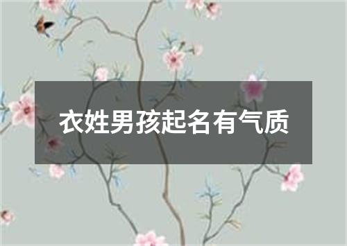 衣姓男孩起名有气质