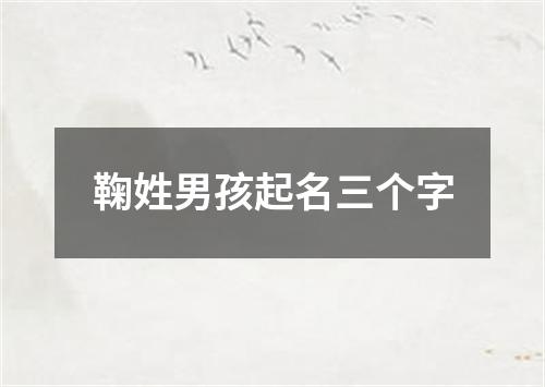 鞠姓男孩起名三个字