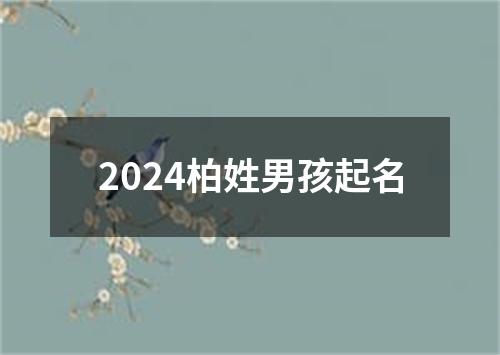 2024柏姓男孩起名