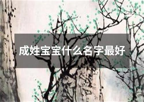 成姓宝宝什么名字最好