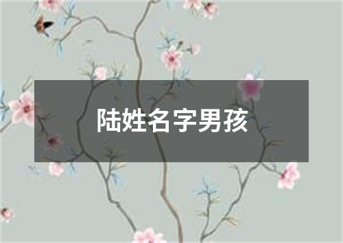 陆姓名字男孩