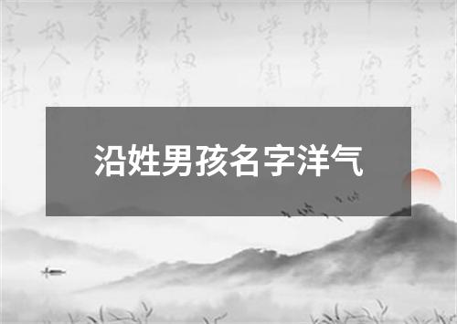 沿姓男孩名字洋气