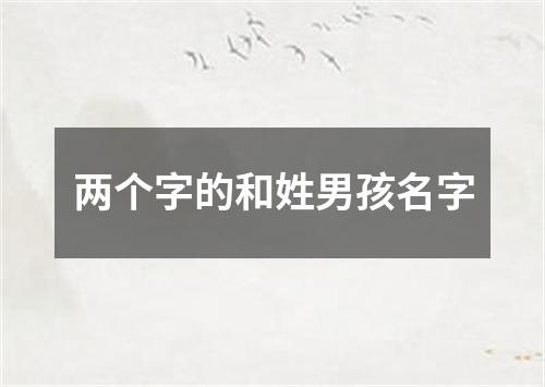 两个字的和姓男孩名字