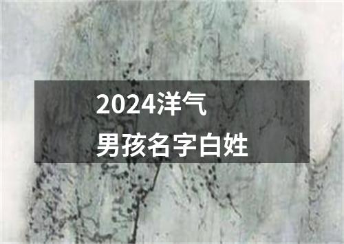 2024洋气男孩名字白姓