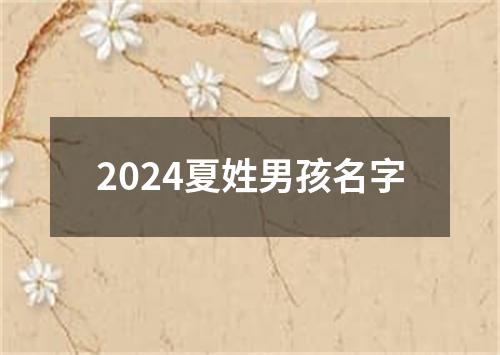 2024夏姓男孩名字