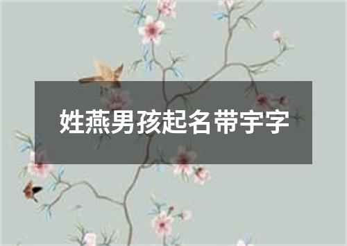 姓燕男孩起名带宇字