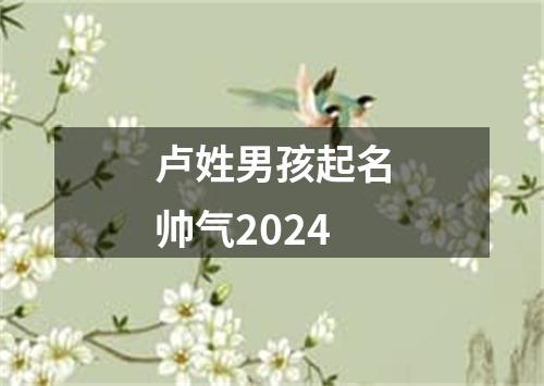 卢姓男孩起名帅气2024