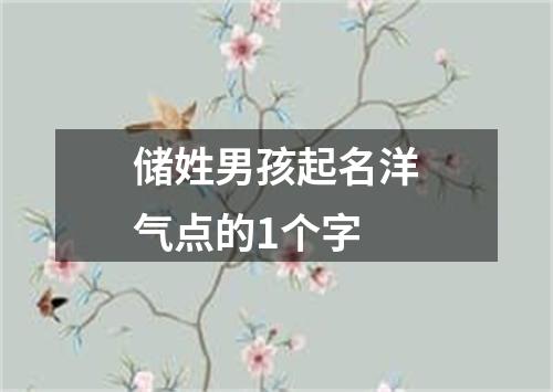 储姓男孩起名洋气点的1个字