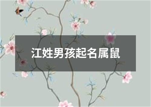 江姓男孩起名属鼠