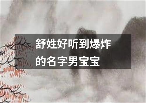 舒姓好听到爆炸的名字男宝宝