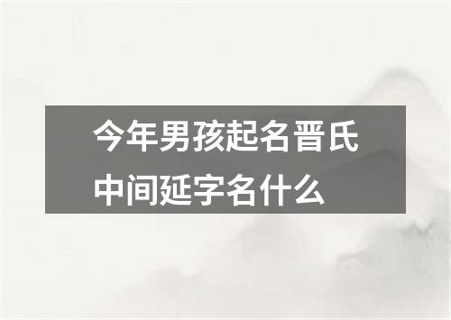 今年男孩起名晋氏中间延字名什么