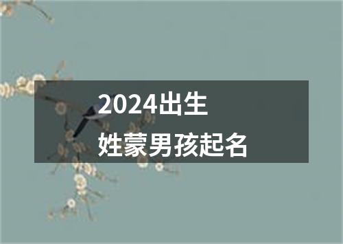 2024出生姓蒙男孩起名