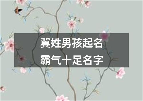 冀姓男孩起名霸气十足名字