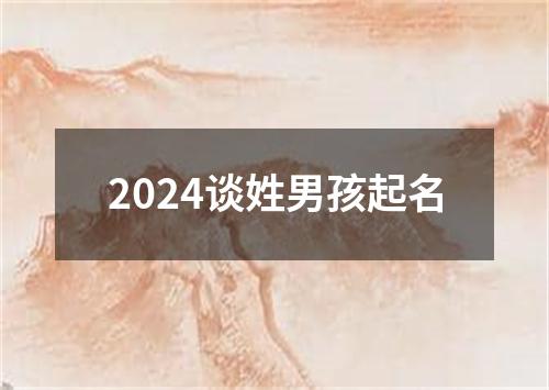 2024谈姓男孩起名