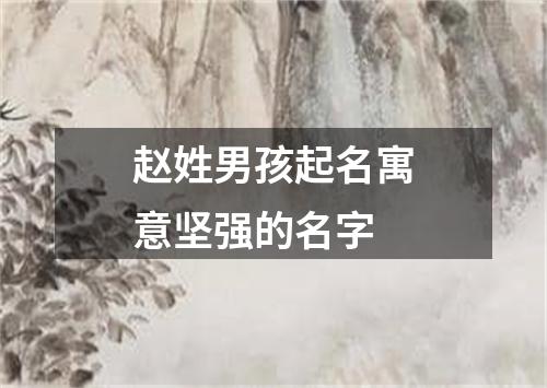 赵姓男孩起名寓意坚强的名字