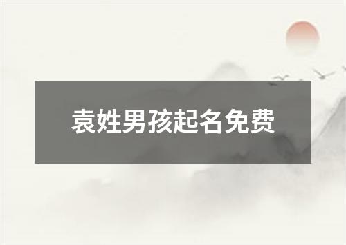 袁姓男孩起名免费