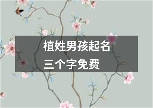 植姓男孩起名三个字免费