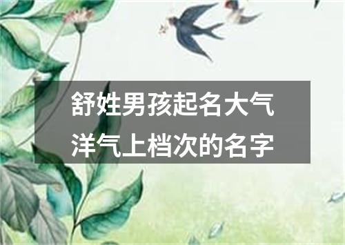 舒姓男孩起名大气洋气上档次的名字