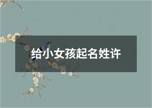 给小女孩起名姓许