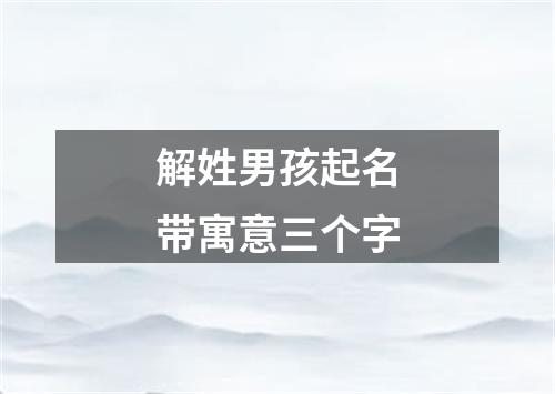 解姓男孩起名带寓意三个字