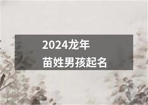 2024龙年苗姓男孩起名