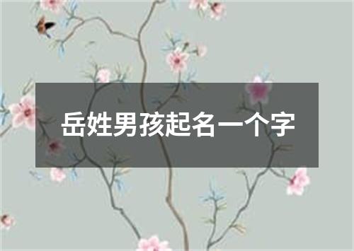 岳姓男孩起名一个字