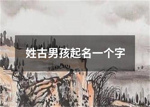 姓古男孩起名一个字