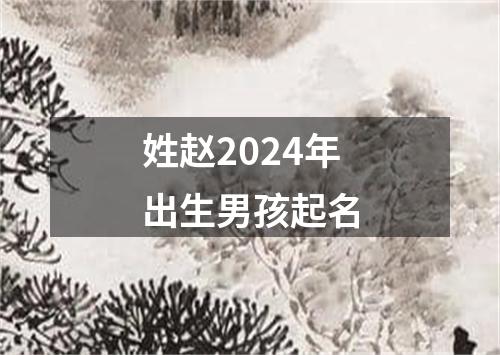 姓赵2024年出生男孩起名