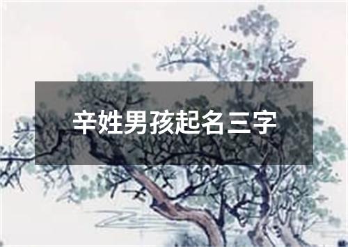 辛姓男孩起名三字