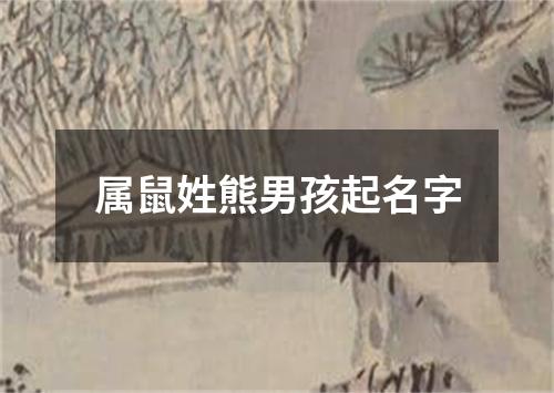 属鼠姓熊男孩起名字