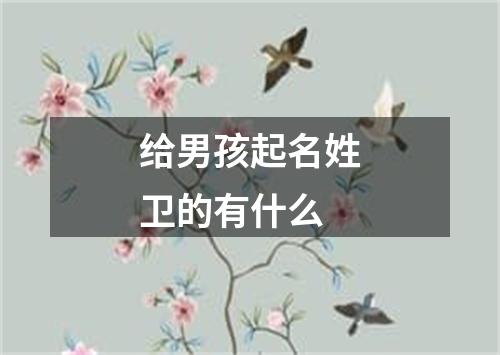 给男孩起名姓卫的有什么