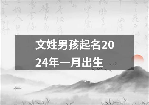 文姓男孩起名2024年一月出生