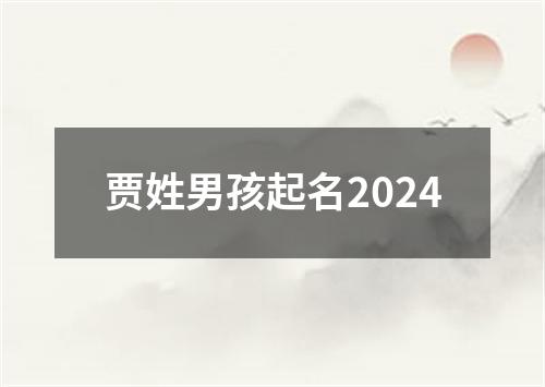 贾姓男孩起名2024