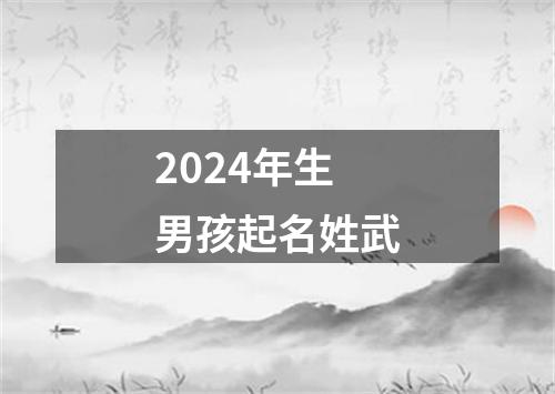 2024年生男孩起名姓武