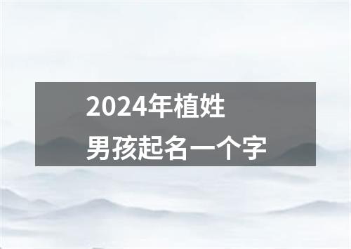 2024年植姓男孩起名一个字