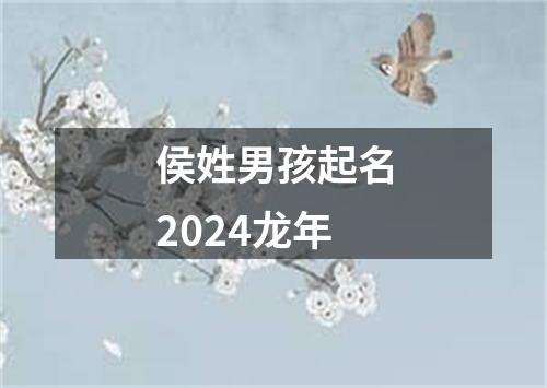 侯姓男孩起名2024龙年