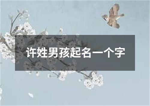 许姓男孩起名一个字