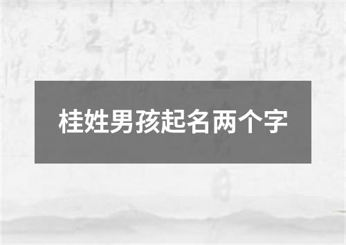 桂姓男孩起名两个字