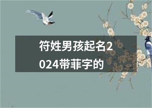 符姓男孩起名2024带菲字的