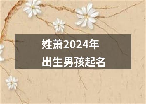 姓萧2024年出生男孩起名