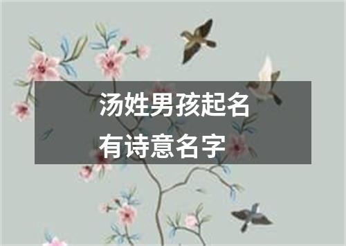 汤姓男孩起名有诗意名字