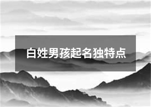 白姓男孩起名独特点